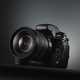 Illustration for article titled Nikon D700 DSLR Official: D3's Big Sensor In a Smaller Body for $2999